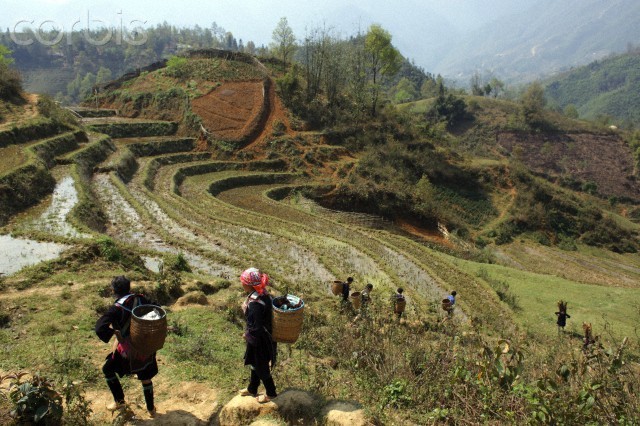 Những người dân Tây Bắc lên nương